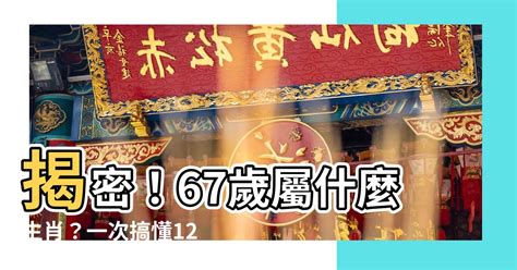 人類圖分析網站 67歲屬什麼生肖